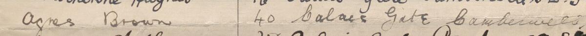 Image of Agnes Brown's signature and address in the petition