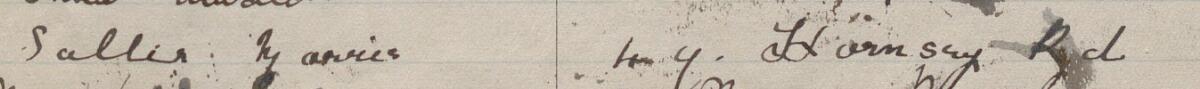 Image of Sallie Harries's signature and address in the petition