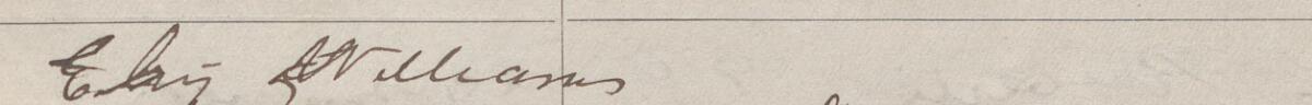 Image of Elan Williams's signature and address in the petition
