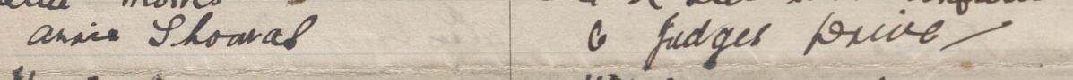 Image of Annie Thomas's signature and address in the petition