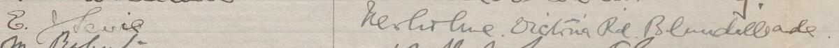 Image of E J Lewis's signature and address in the petition