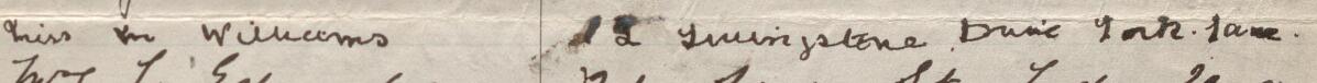 Image of Miss M Williams's signature and address in the petition