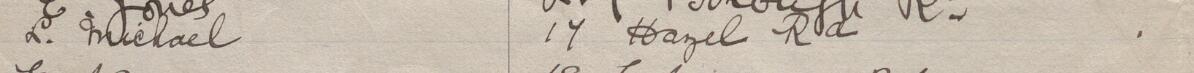 Image of L Michael's signature and address in the petition