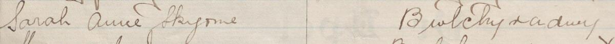 Image of Sarah Anne Skyome's signature and address in the petition