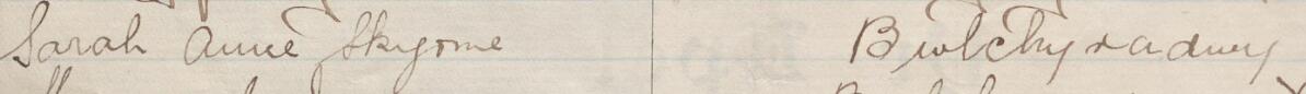 Image of Sarah Anne Skyrme's signature and address in the petition