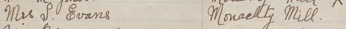 Image of Mrs S Evans's signature and address in the petition