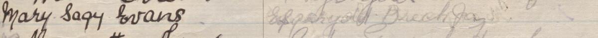 Image of Mary Sagy Evans's signature and address in the petition
