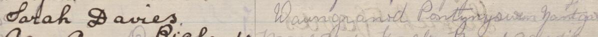 Image of Sarah Davies's signature and address in the petition