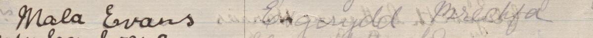 Image of Mala Evans's signature and address in the petition