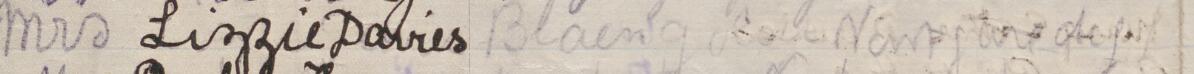 Image of Mrs Lizzie Davies's signature and address in the petition