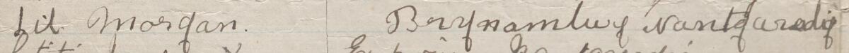 Image of Lil Morgan's signature and address in the petition