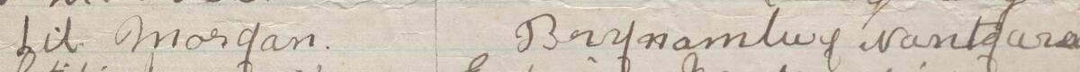 Image of Lil Morgan's signature and address in the petition
