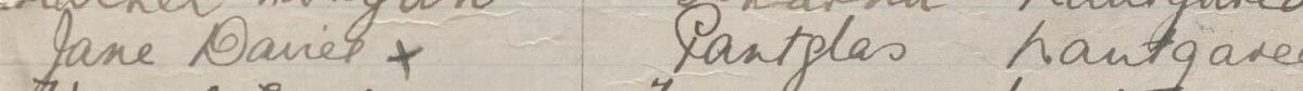 Image of Jane Davies's signature and address in the petition