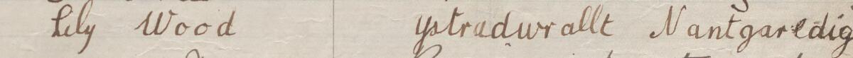 Image of Lily Wood's signature and address in the petition