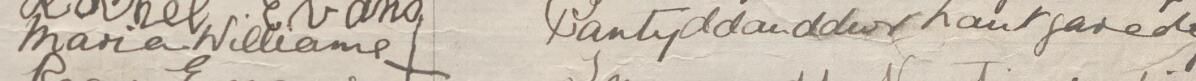 Image of Maria Williams's signature and address in the petition