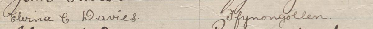 Image of Elvira C Davies's signature and address in the petition