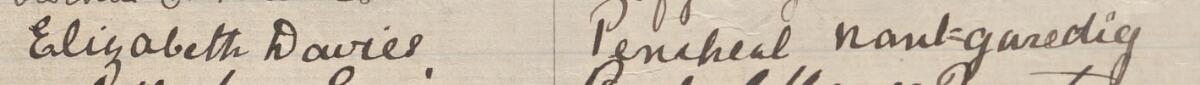Image of Elizabeth Davies's signature and address in the petition