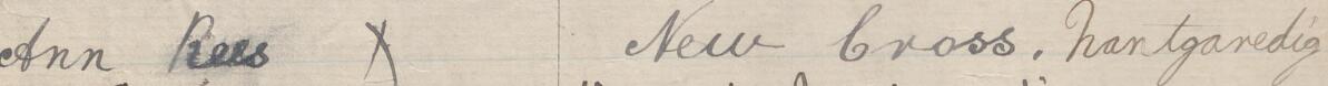 Image of Ann Ress's signature and address in the petition