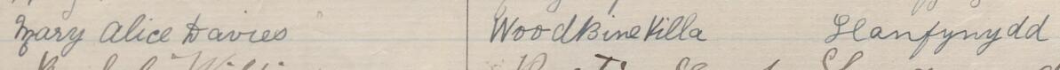 Image of Mary Alice Davies's signature and address in the petition