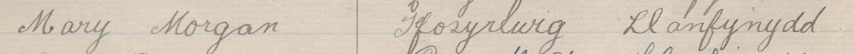 Image of Mary Morgan's signature and address in the petition