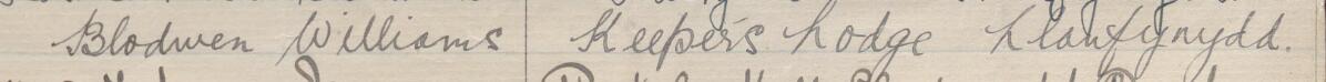 Image of Blodwen Williams's signature and address in the petition