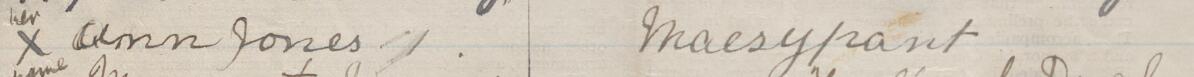 Image of her name Ann Jones's signature and address in the petition
