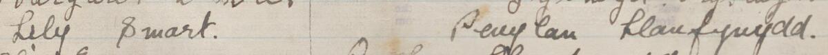 Image of Lily Smart's signature and address in the petition
