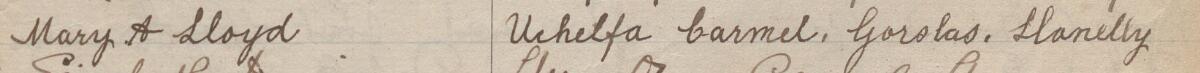 Image of Mary A Lloyd's signature and address in the petition