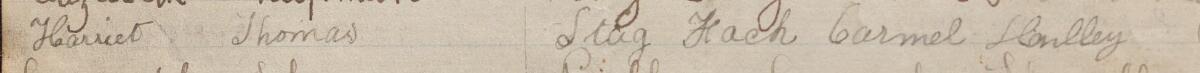 Image of Harriet Thomas's signature and address in the petition