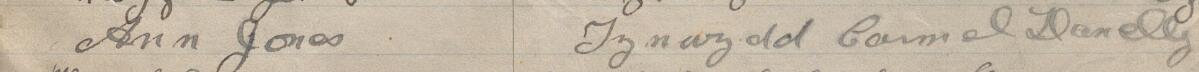 Image of Ann Jones's signature and address in the petition