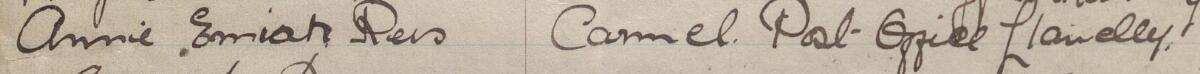 Image of Annie Emiah Rees's signature and address in the petition