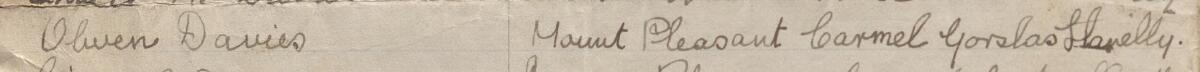 Image of Olwen Davies's signature and address in the petition