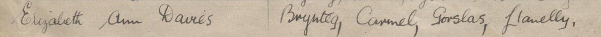 Image of Elizabeth Ann Davies's signature and address in the petition