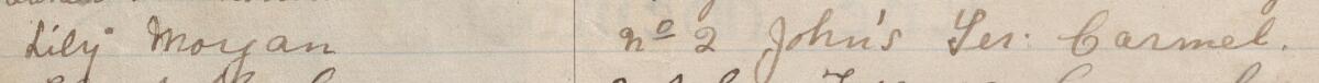 Image of Lily Morgan's signature and address in the petition