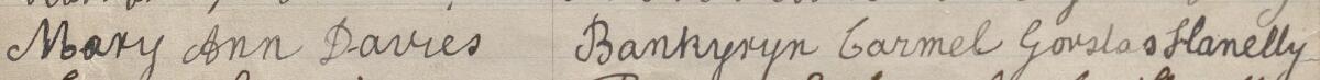 Image of Mary Ann Davies's signature and address in the petition