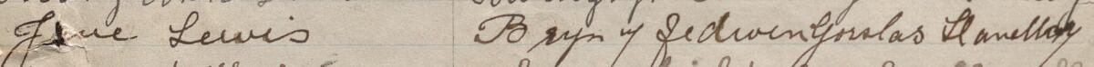 Image of Jane Lewis's signature and address in the petition