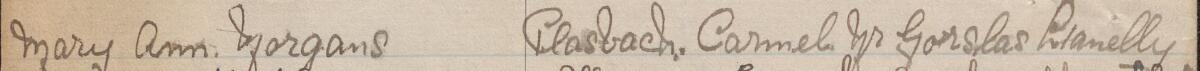 Image of Mary Ann Morgans's signature and address in the petition
