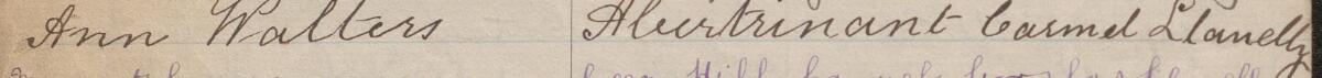 Image of Ann Walters's signature and address in the petition