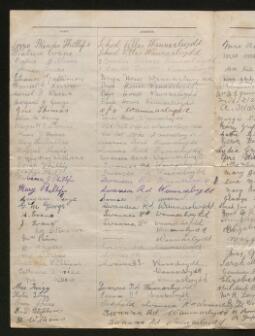 Petition - 8/196 - Cockett