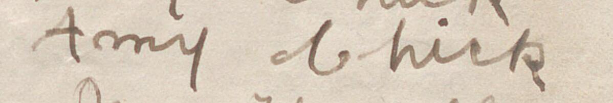 Image of Amy Chick @'s signature and address in the petition