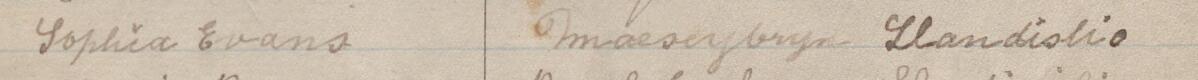 Image of Sophia Evans's signature and address in the petition
