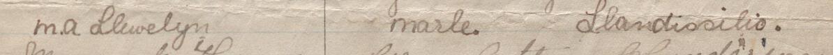 Image of M A Llewelyn's signature and address in the petition