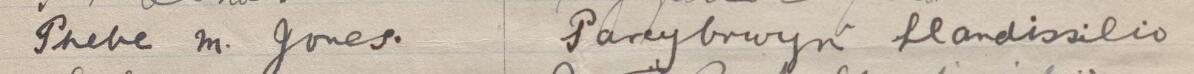Image of Phoebe M Jones's signature and address in the petition