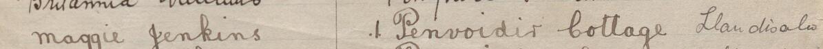 Image of Maggie Jenkins's signature and address in the petition