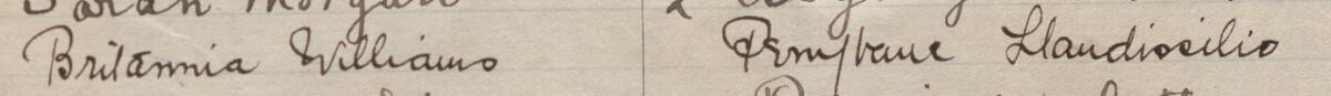 Image of Britannia Williams's signature and address in the petition