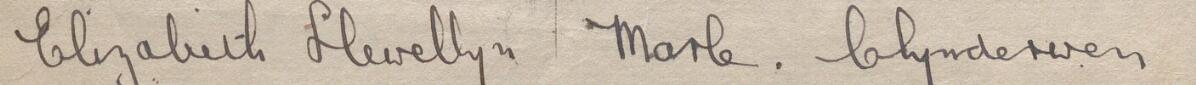 Image of Elizabeth Llewellyn's signature and address in the petition