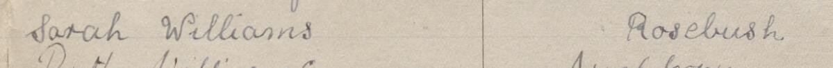 Image of Sarah Williams's signature and address in the petition