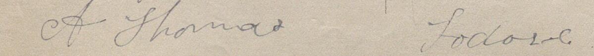 Image of A Thomas's signature and address in the petition