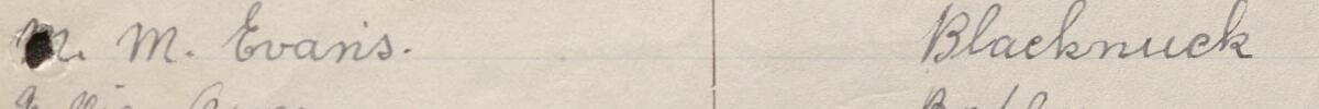 Image of M. M. Evans's signature and address in the petition