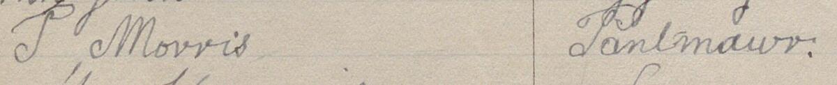 Image of P Morris's signature and address in the petition